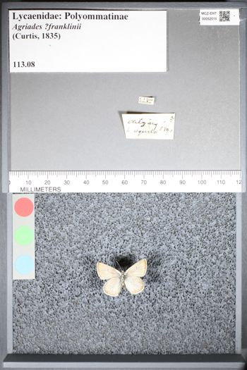 Media type: image;   Entomology 52015
